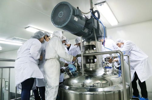 國際技術專家齊聚爾康，共商淀粉膠囊技術應用與推廣新藍圖